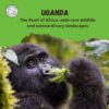 UGANDA